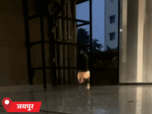 अलवर में 4-घंटे बारिश, धौलपुर में मकान की दीवार ढही:करौली में दिन में ही अंधेरा छाया, चूरू में जगह-जगह जलजमाव; 5 डिग्री तक पारा गिरा
